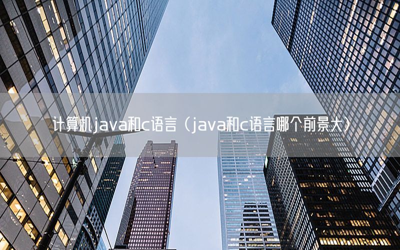 计算机java和c语言（java和c语言哪个前景大）