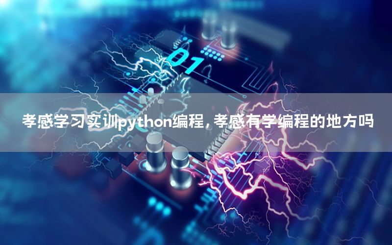 孝感学习实训python编程，孝感有学编程的地方吗