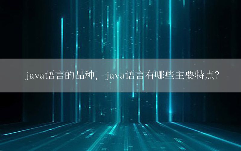 java语言的品种，java语言有哪些主要特点?
