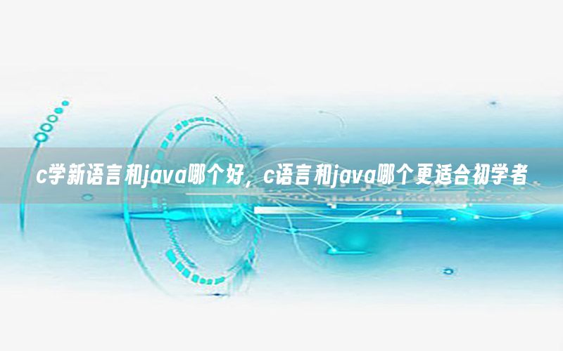 c学新语言和java哪个好，c语言和java哪个更适合初学者