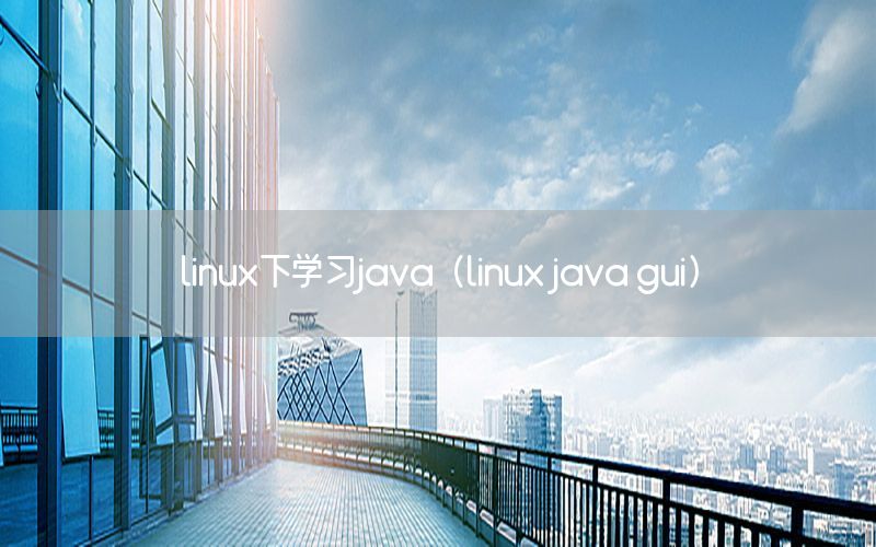 linux下学习java（linux java gui）