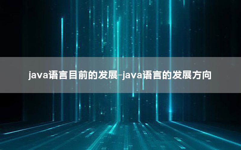 java语言目前的发展-java语言的发展方向