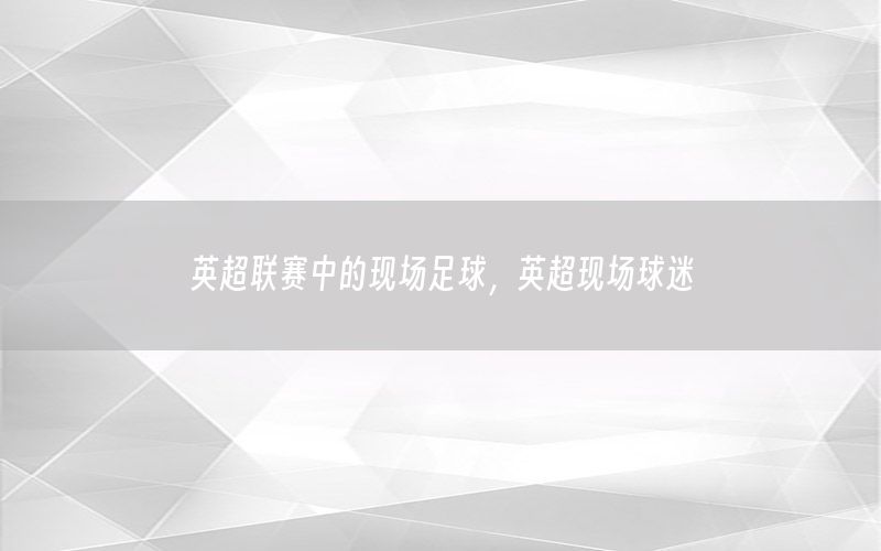英超联赛中的现场足球，英超现场球迷