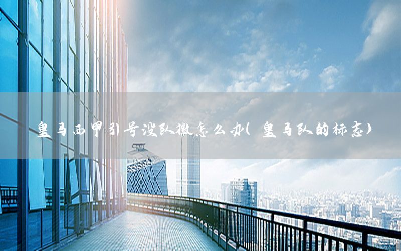 皇马西甲引号没队徽怎么办（皇马队的标志）