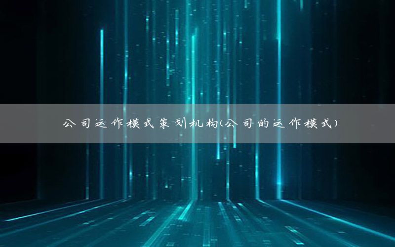 公司运作模式策划机构（公司的运作模式）
