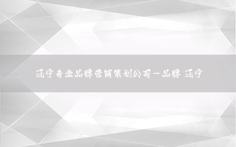 辽宁专业品牌营销策划公司-品牌 辽宁