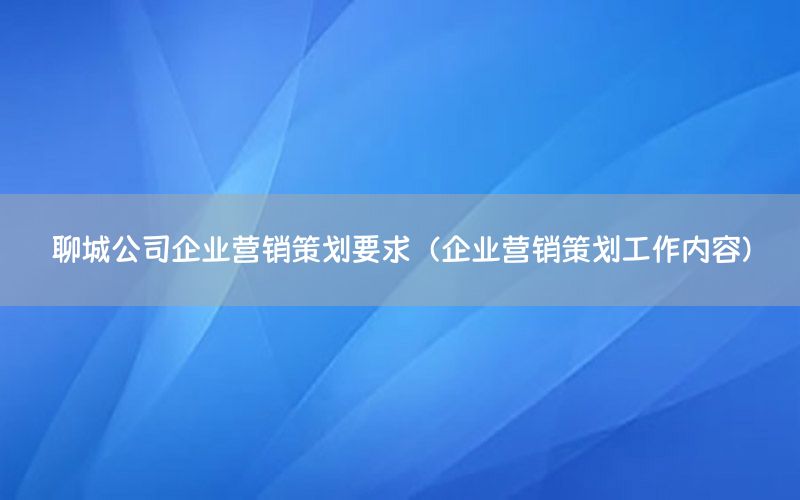 聊城公司企业营销策划要求（企业营销策划工作内容）