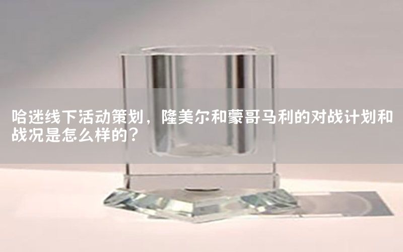 哈迷线下活动策划，隆美尔和蒙哥马利的对战计划和战况是怎么样的?