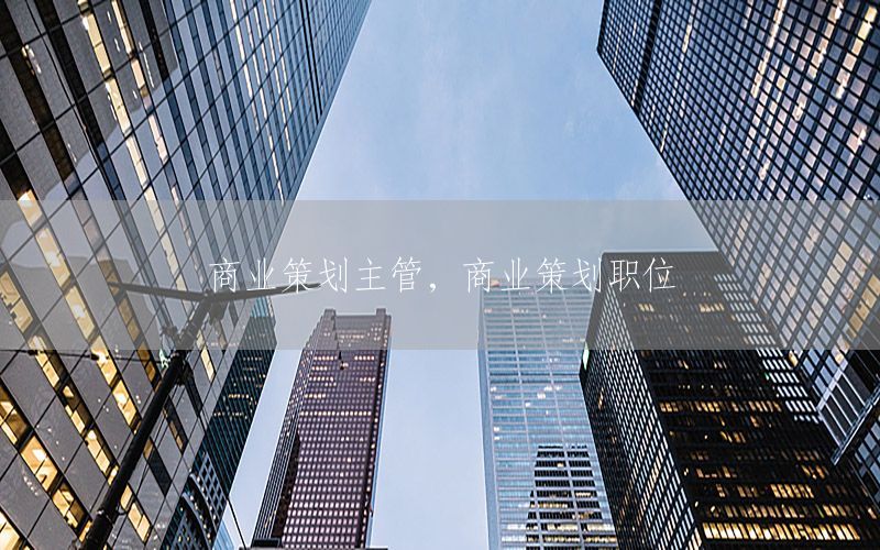 商业策划主管，商业策划职位