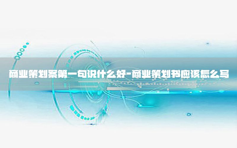 商业策划案第一句说什么好-商业策划书应该怎么写
