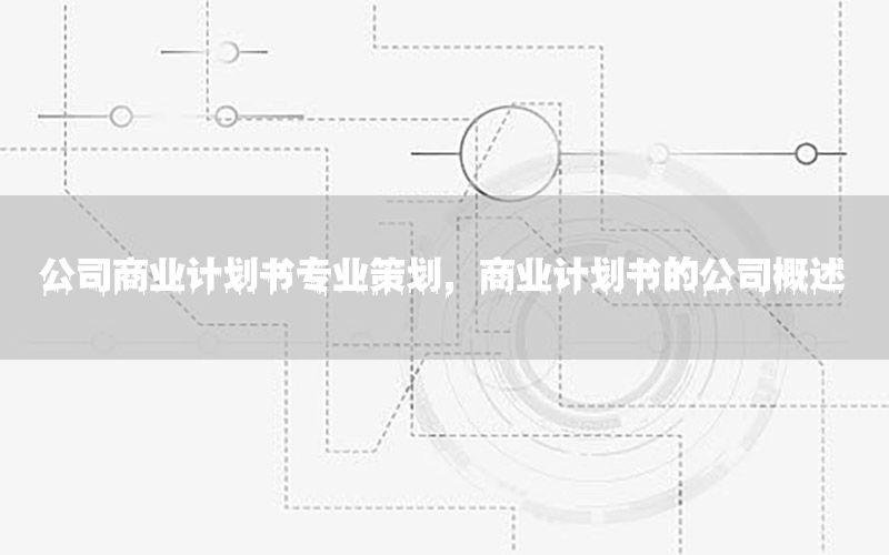 公司商业计划书专业策划，商业计划书的公司概述