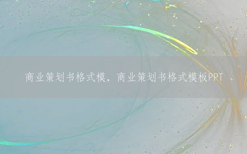 商业策划书格式模，商业策划书格式模板PPT