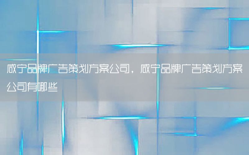 咸宁品牌广告策划方案公司，咸宁品牌广告策划方案公司有哪些