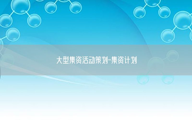 大型集资活动策划-集资计划