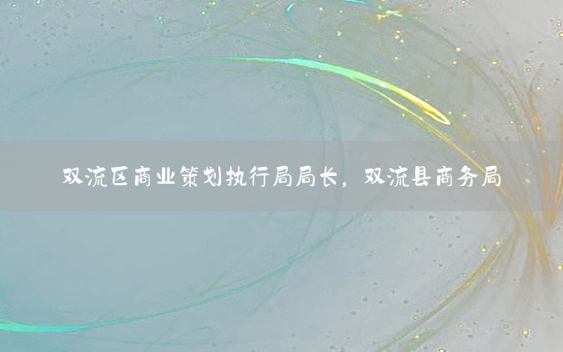 双流区商业策划执行局局长，双流县商务局