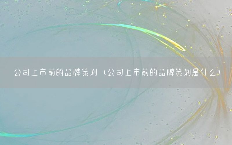公司上市前的品牌策划（公司上市前的品牌策划是什么）