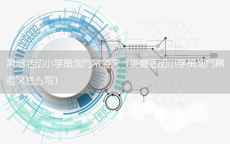捐赠活动小学策划方案范文（捐赠活动小学策划方案范文怎么写）