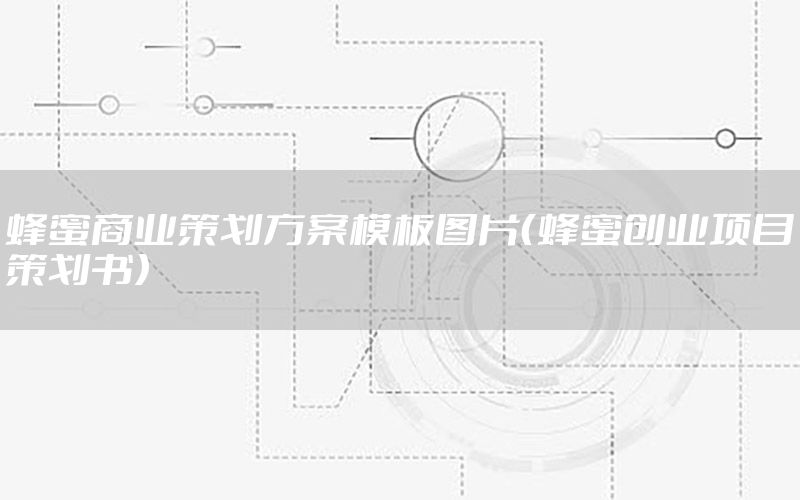 蜂蜜商业策划方案模板图片（蜂蜜创业项目策划书）