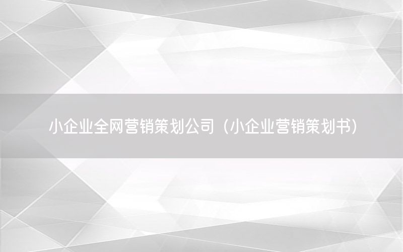 小企业全网营销策划公司（小企业营销策划书）