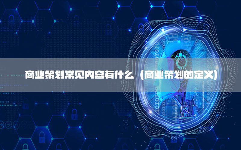 商业策划常见内容有什么（商业策划的定义）