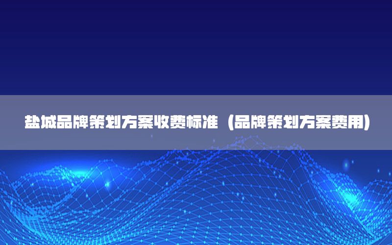 盐城品牌策划方案收费标准（品牌策划方案费用）