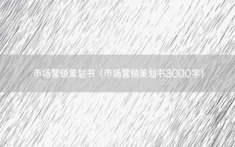 市场营销策划书（市场营销策划书3000字）