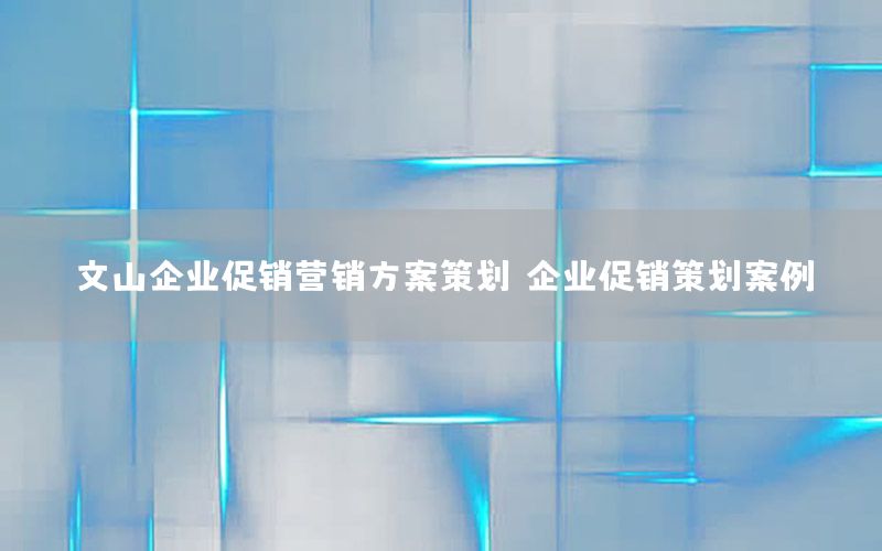 文山企业促销营销方案策划（企业促销策划案例）