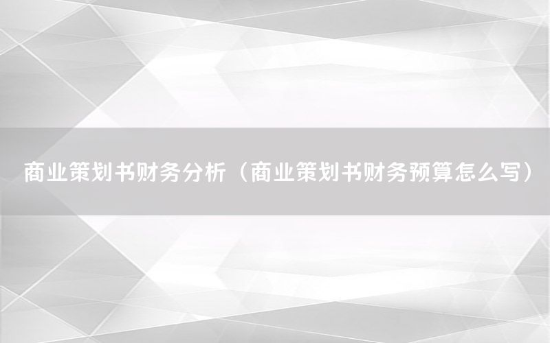 商业策划书财务分析（商业策划书财务预算怎么写）