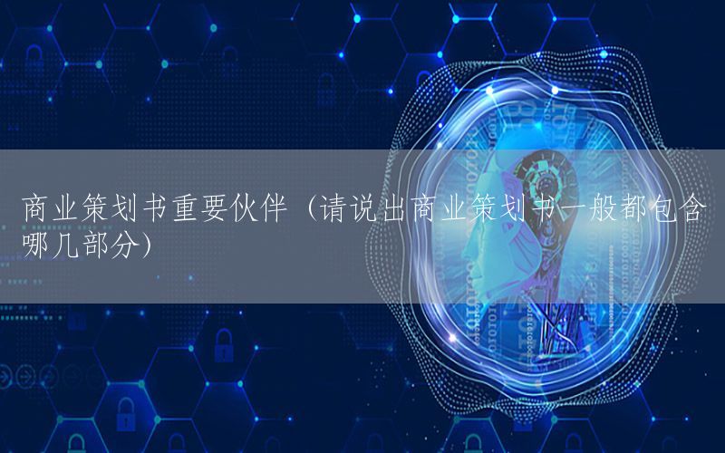 商业策划书重要伙伴（请说出商业策划书一般都包含哪几部分）