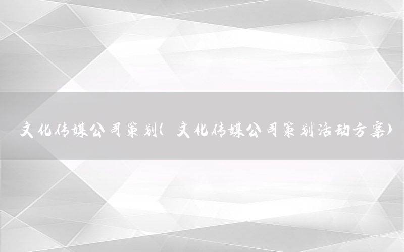 文化传媒公司策划（文化传媒公司策划活动方案）