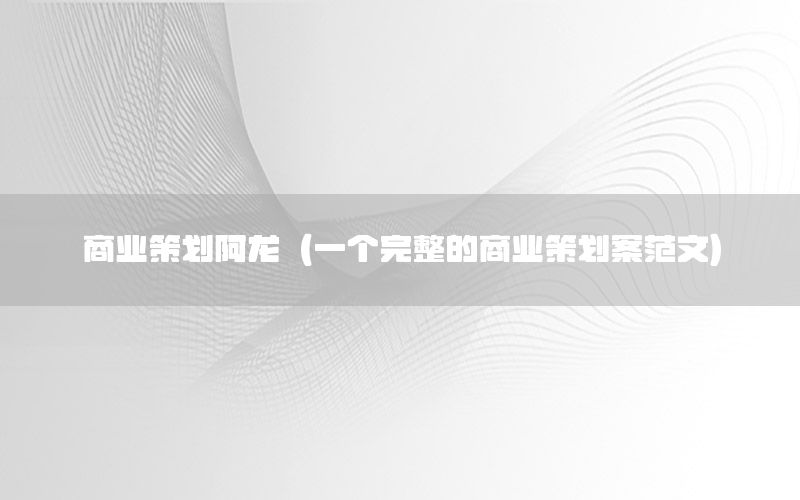 商业策划阿龙（一个完整的商业策划案范文）