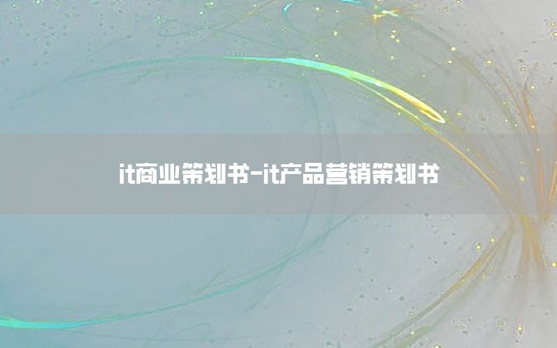 it商业策划书-it产品营销策划书