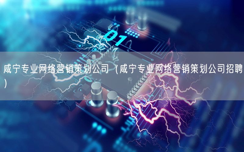 咸宁专业网络营销策划公司（咸宁专业网络营销策划公司招聘）