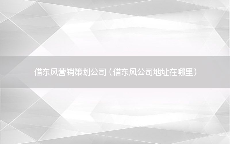 借东风营销策划公司（借东风公司地址在哪里）