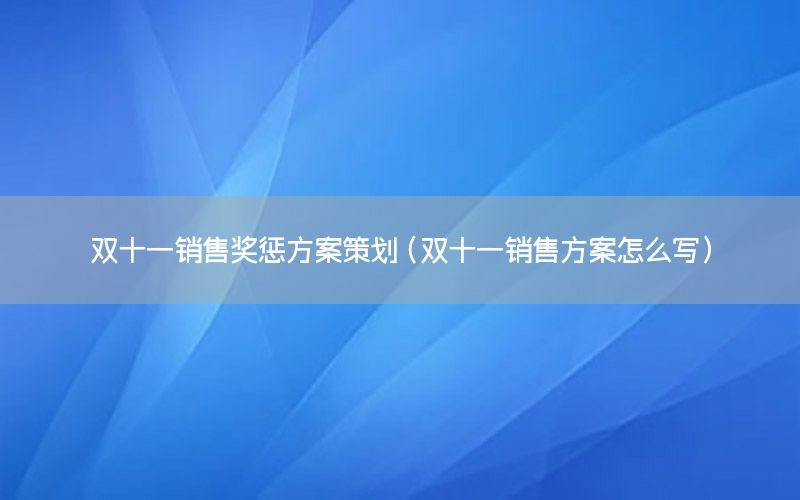 双十一销售奖惩方案策划（双十一销售方案怎么写）