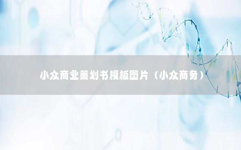 小众商业策划书模板图片（小众商务）