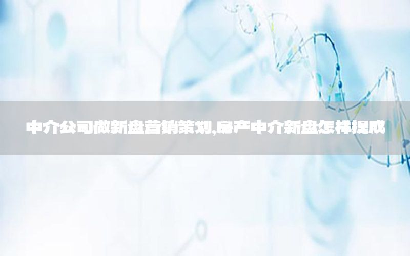 中介公司做新盘营销策划，房产中介新盘怎样提成