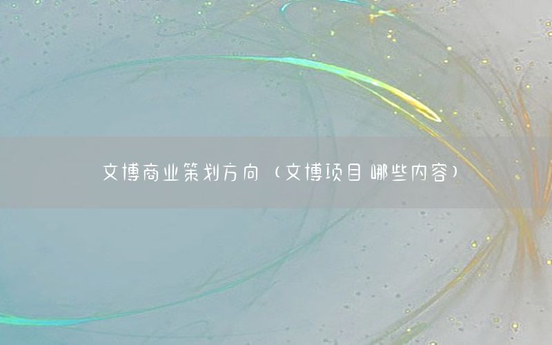 文博商业策划方向（文博项目 哪些内容）