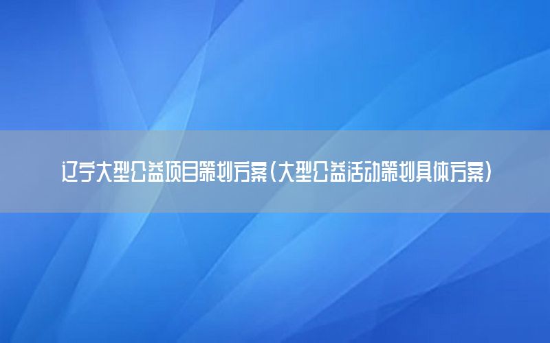 辽宁大型公益项目策划方案（大型公益活动策划具体方案）