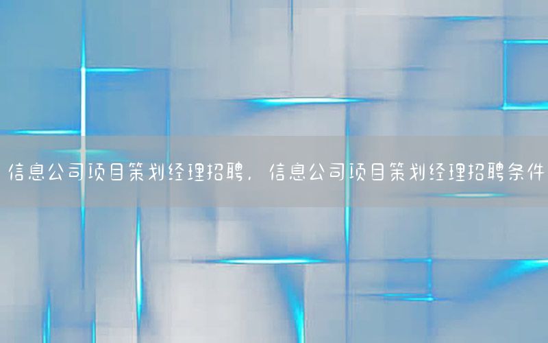 信息公司项目策划经理招聘，信息公司项目策划经理招聘条件