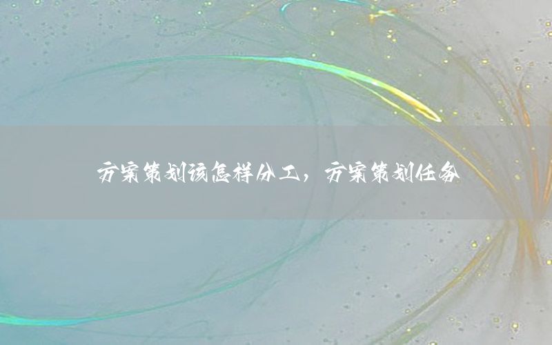 方案策划该怎样分工，方案策划任务
