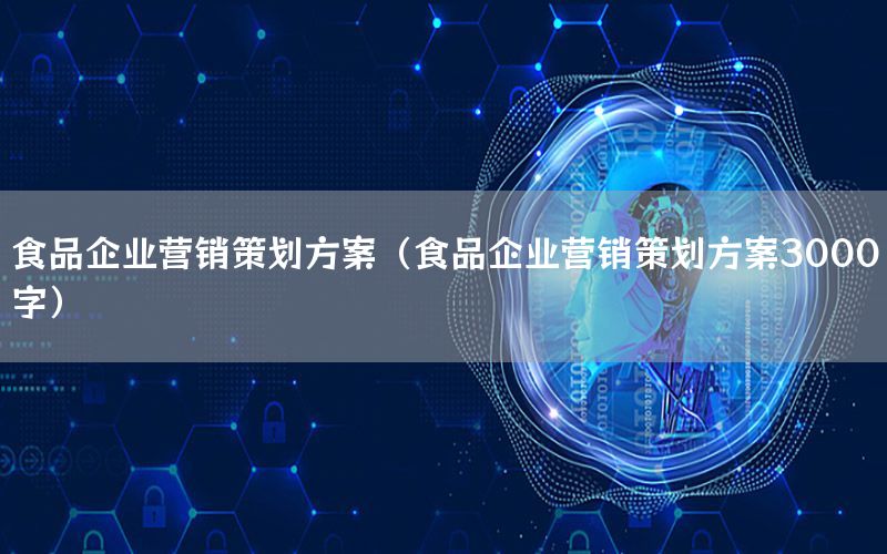 食品企业营销策划方案（食品企业营销策划方案3000字）