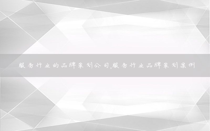 服务行业的品牌策划公司，服务行业品牌策划案例