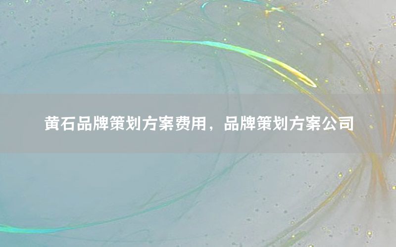 黄石品牌策划方案费用，品牌策划方案公司