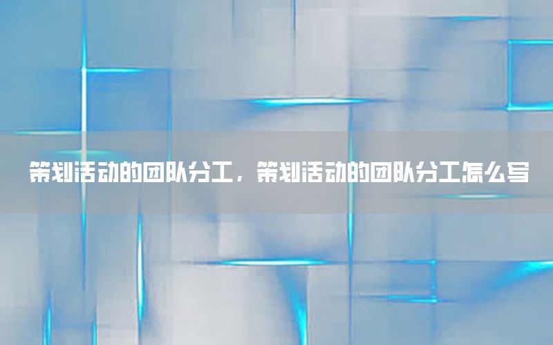 策划活动的团队分工，策划活动的团队分工怎么写