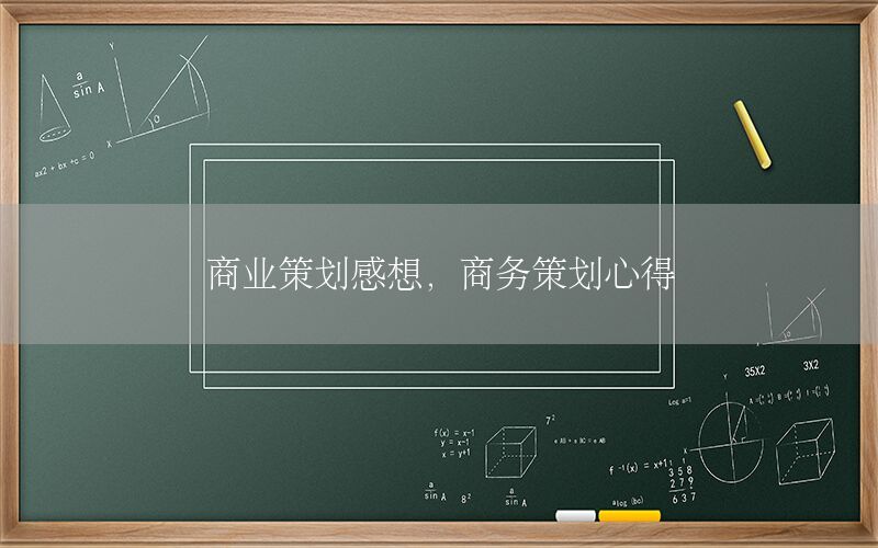 商业策划感想，商务策划心得