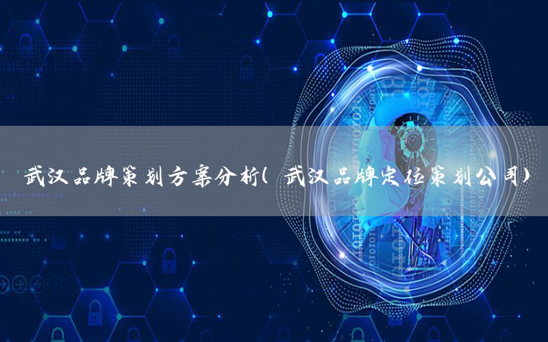 武汉品牌策划方案分析（武汉品牌定位策划公司）