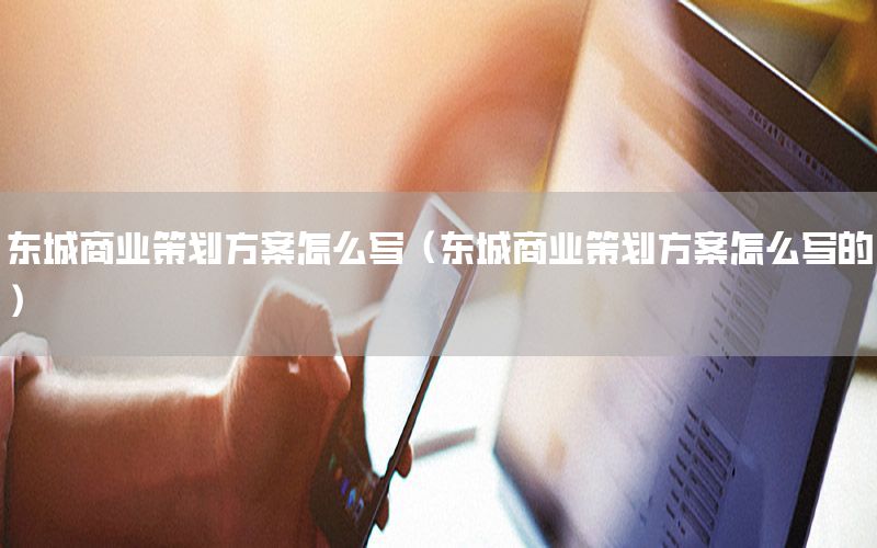 东城商业策划方案怎么写（东城商业策划方案怎么写的）