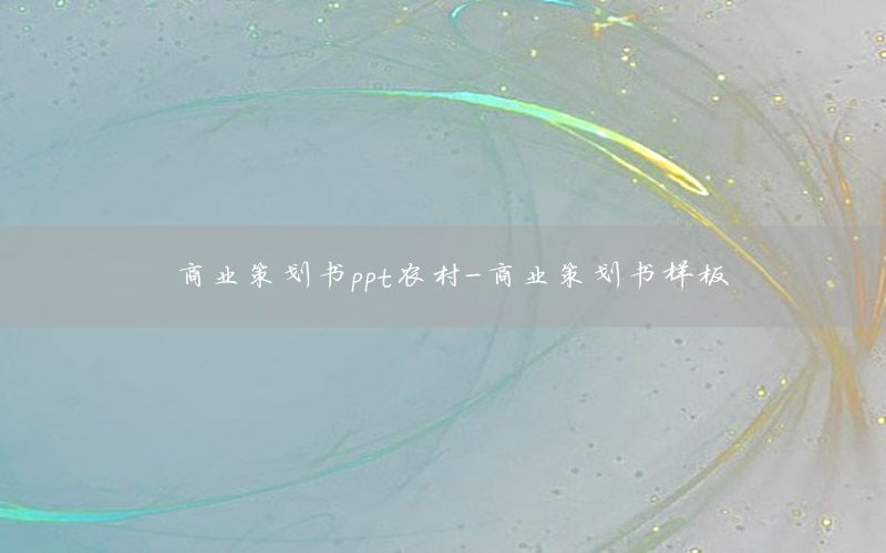 商业策划书ppt农村-商业策划书样板