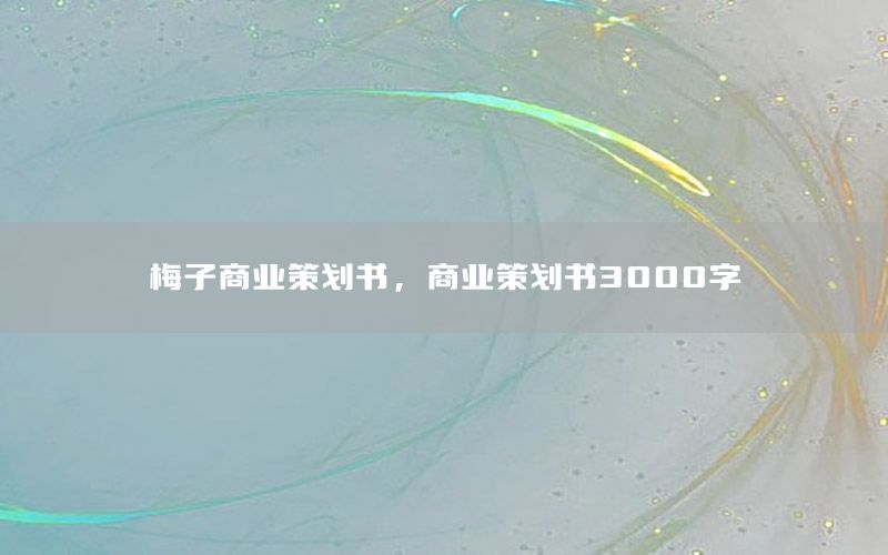 梅子商业策划书，商业策划书3000字